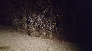 This is where bones were found near a Plano school.  Photo courtesy of WFAA TV