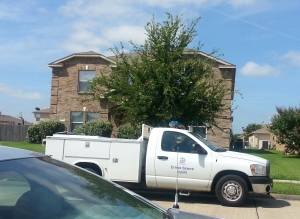 Micah Johnson home