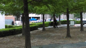 dpd lockdown