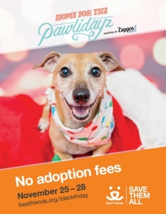 das-adoption-pawlidays