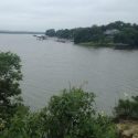Texas Lake Infested With Invasive Weed`