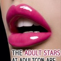 Another Porno Convention?