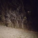 Bones Found Near Plano School