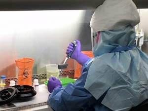 dalco zika test