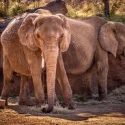 Morning News: Fort Worth Zoo