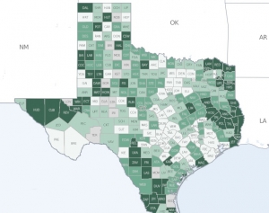 Health Texas