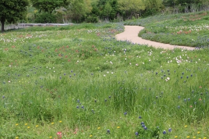 Photograph courtesy of the George Bush Presidential Library and Museum.
