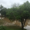 Cafe Workers Keep Watch on Brazos River