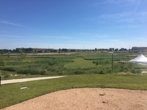 bluestem park