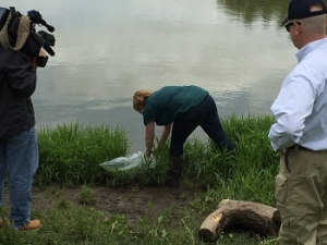 plano fish