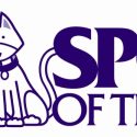 SPCA Warns of Danger to Pets During Heat Wave