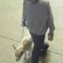 Dog Found Stabbed to Death in Irving