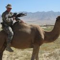 Chris Krok: Gun Law Expert pt 1
