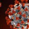 Texas woman and sister die from pandemics 102 years apart